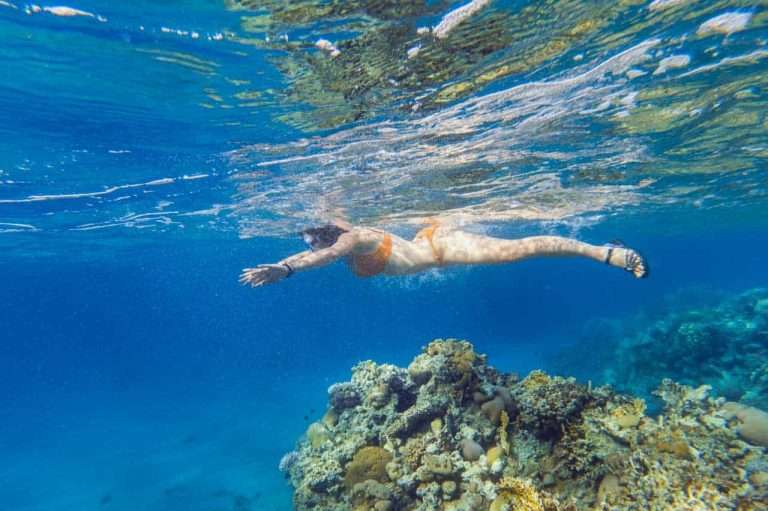 What is the Cost of Snorkeling in Sri Lanka Wise Travel Genie