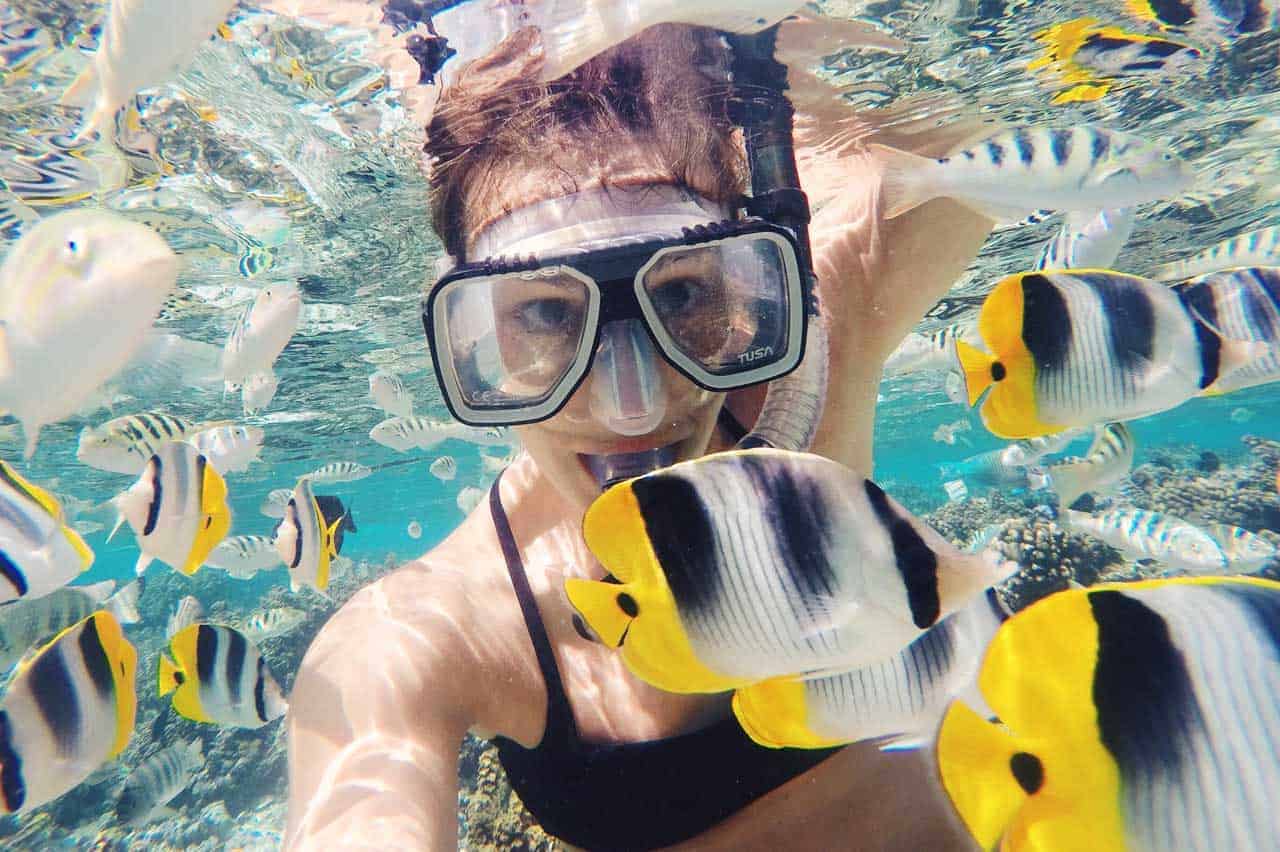 What is the Cost of Snorkeling in Sri Lanka Wise Travel Genie